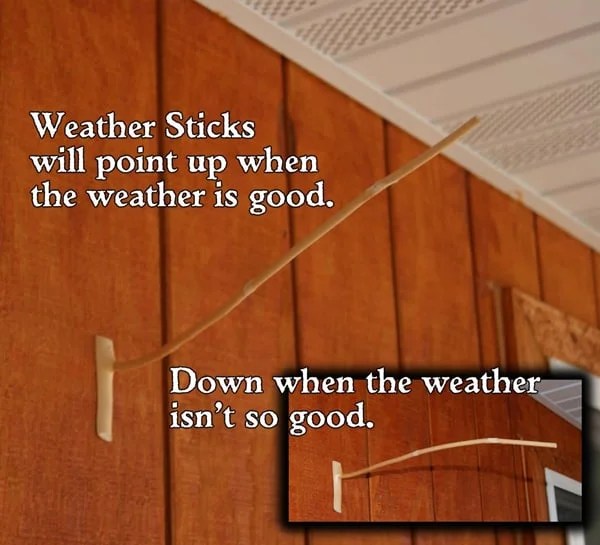 Canadian Weatherstick Jetzam
