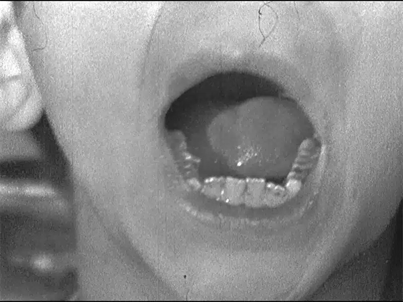 Jordana Mendelson Eli Lotar's Dissident Lens in Luis Buñuel's Las