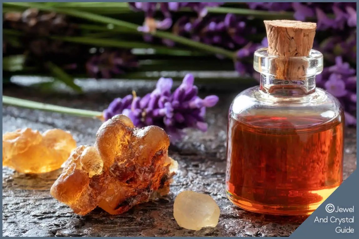 Amber smells like a warm, subtropical forest because… Jewel And Crystal Guide