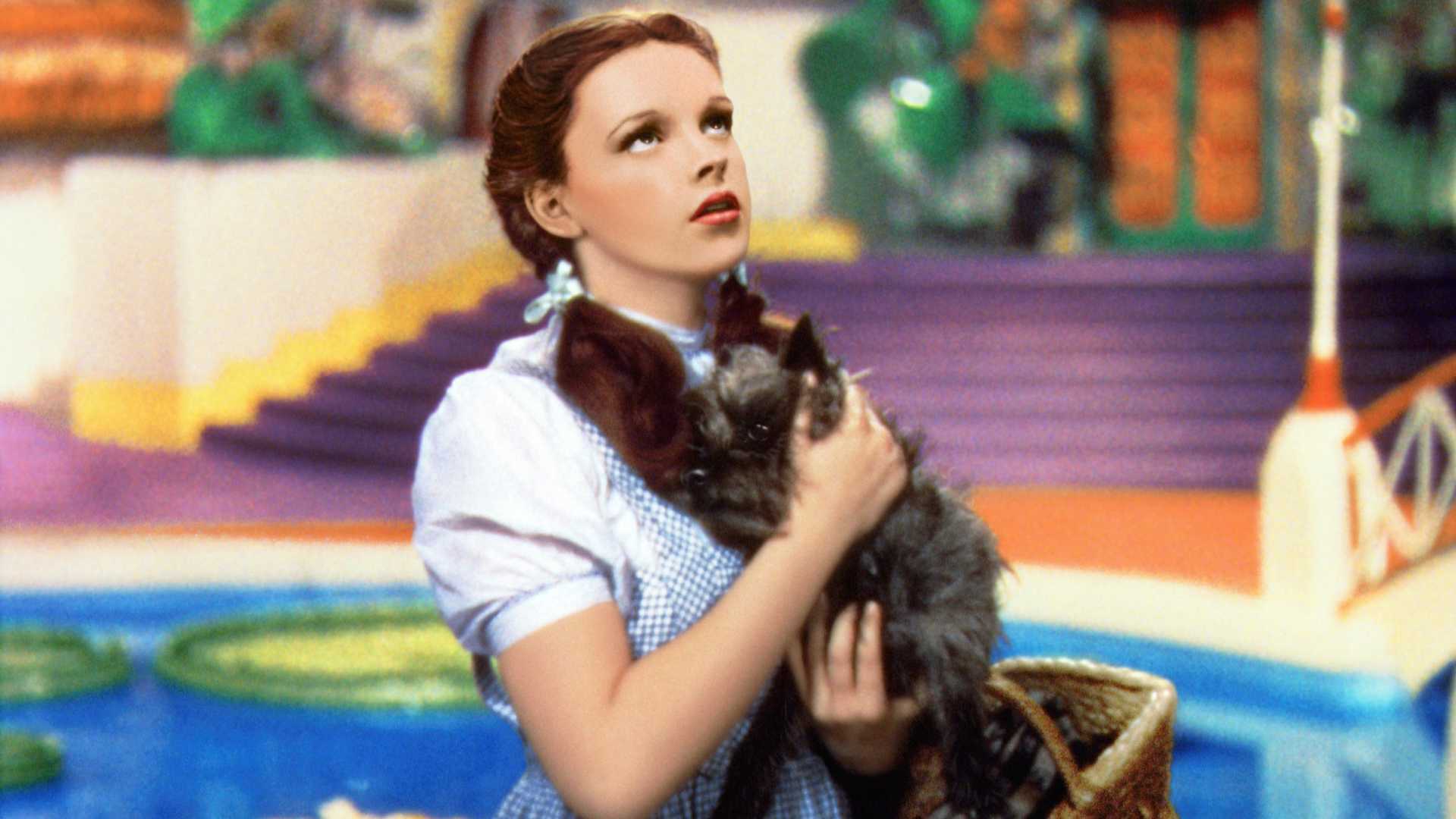 הקוסם מארץ עוץ Jerusalem Film Festival