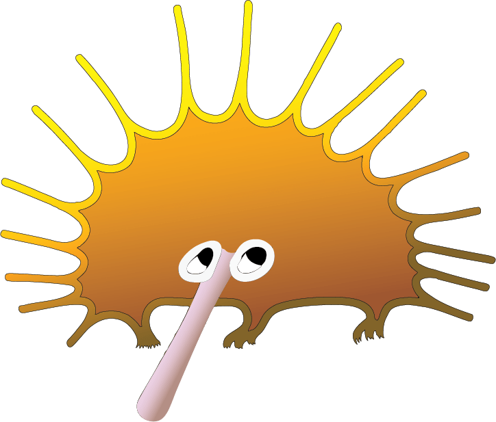 Junior Field Naturalists SA