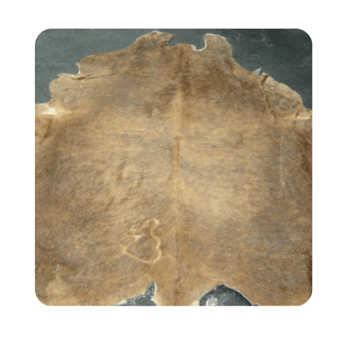 Salted Cured Raw Bovine Hides J&G