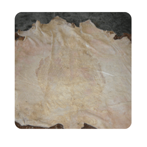 Cuero Crudo de Bovino J&G