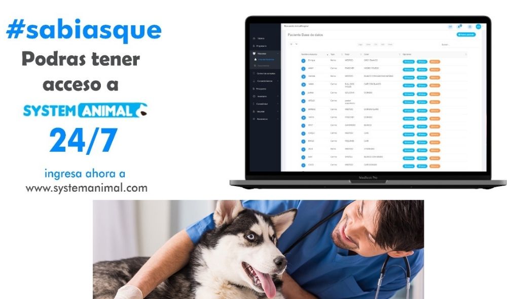 software veterinario programa veterinarias historia clinica pacientes web