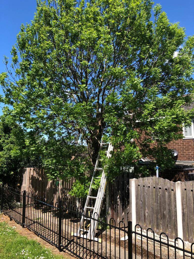 JG Tree Services Family Run Business