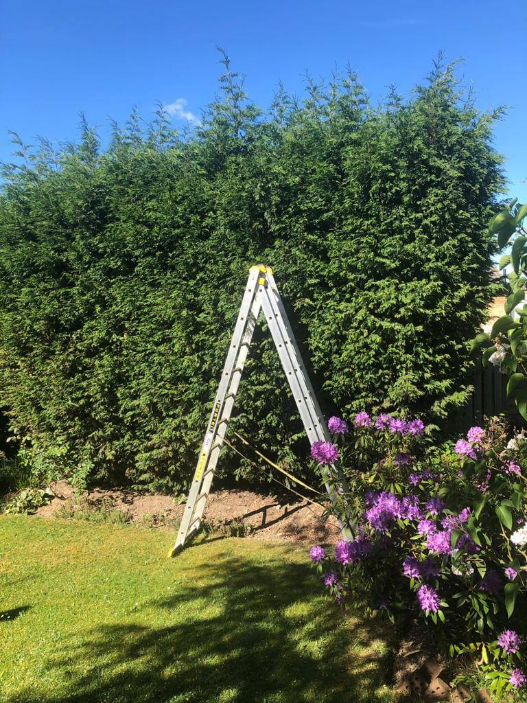 JG Tree Services Family Run Business