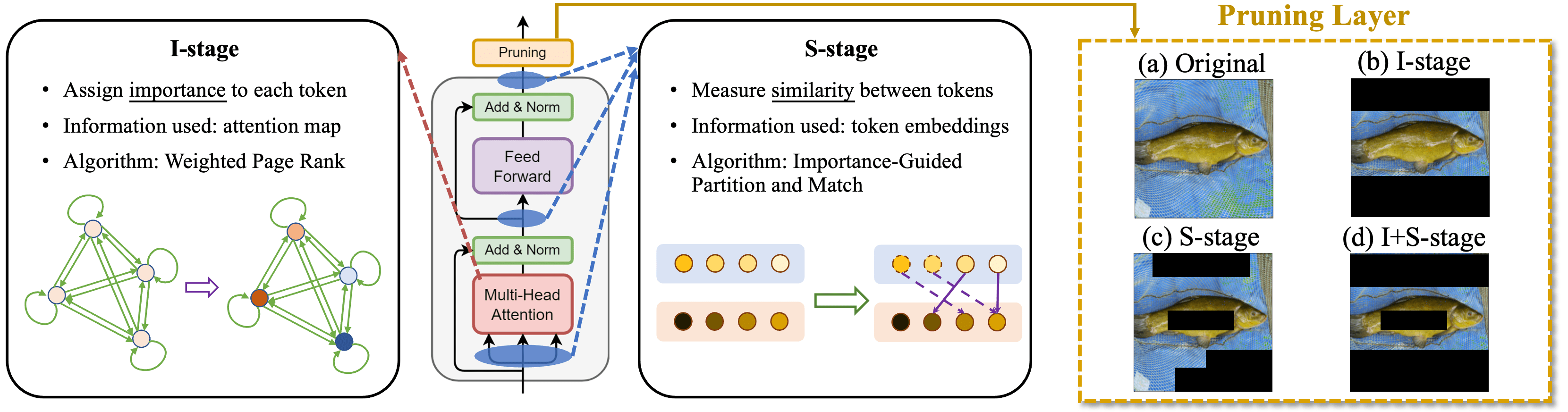ZeroTPrune ZeroShot Token Pruning through Leveraging of the Attention Graph in PreTrained