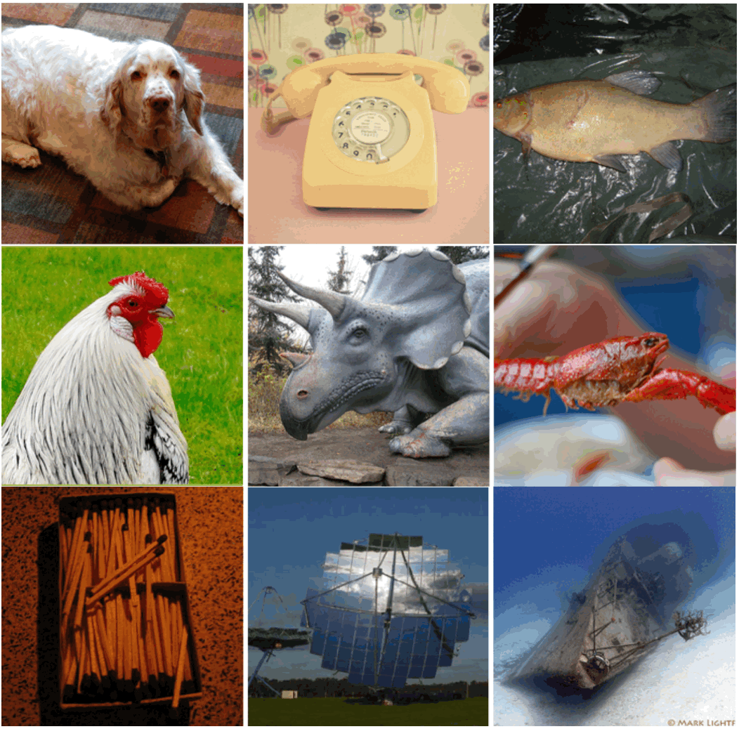 ZeroTPrune ZeroShot Token Pruning through Leveraging of the Attention Graph in PreTrained