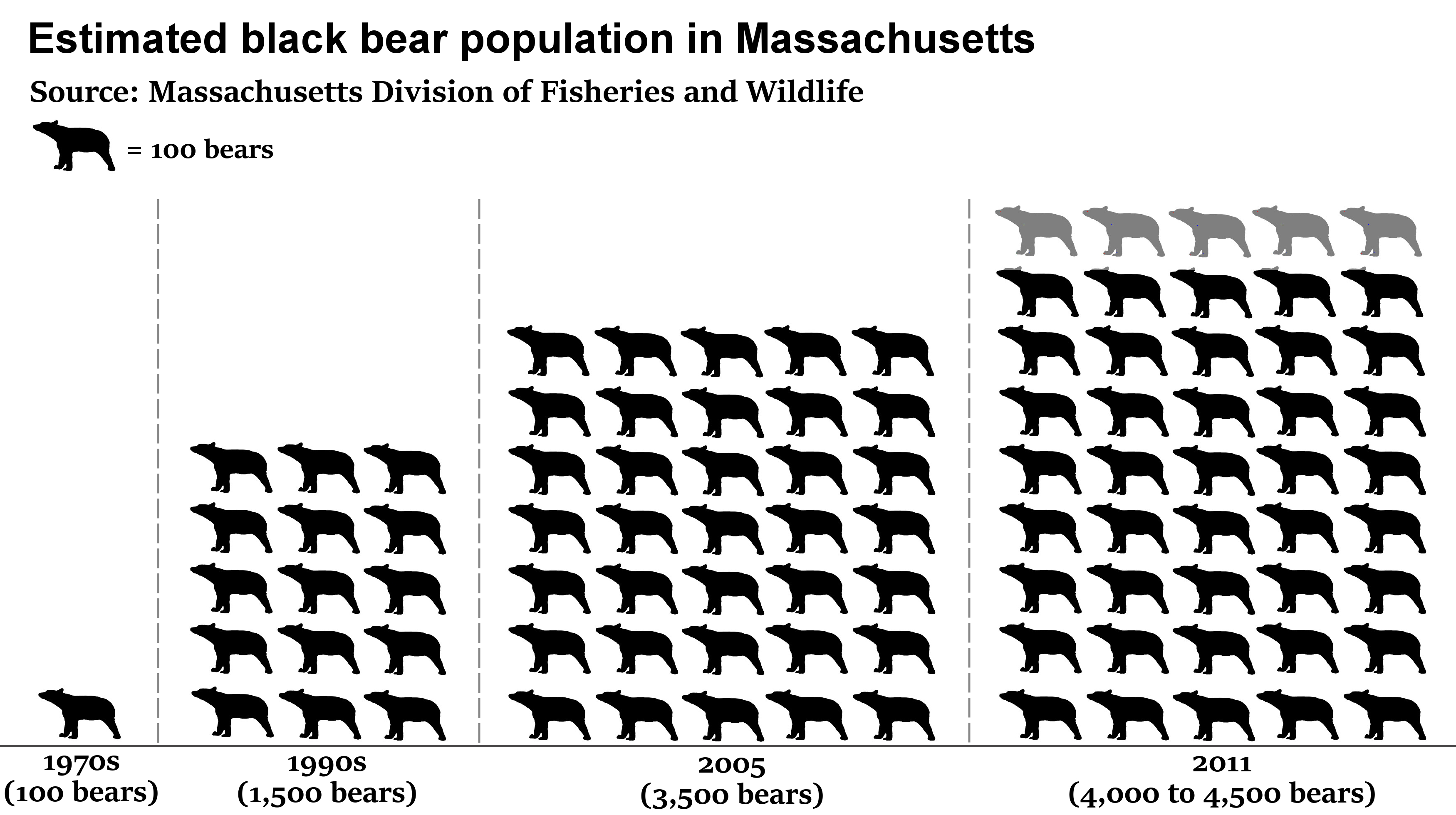 Black bear population rebounds in Massachusetts Jim Haddadin