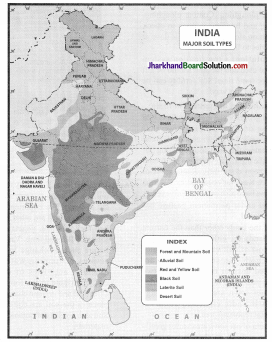 JAC Class 10 Social Science Important Questions Geography Chapter 1 Resource and Development