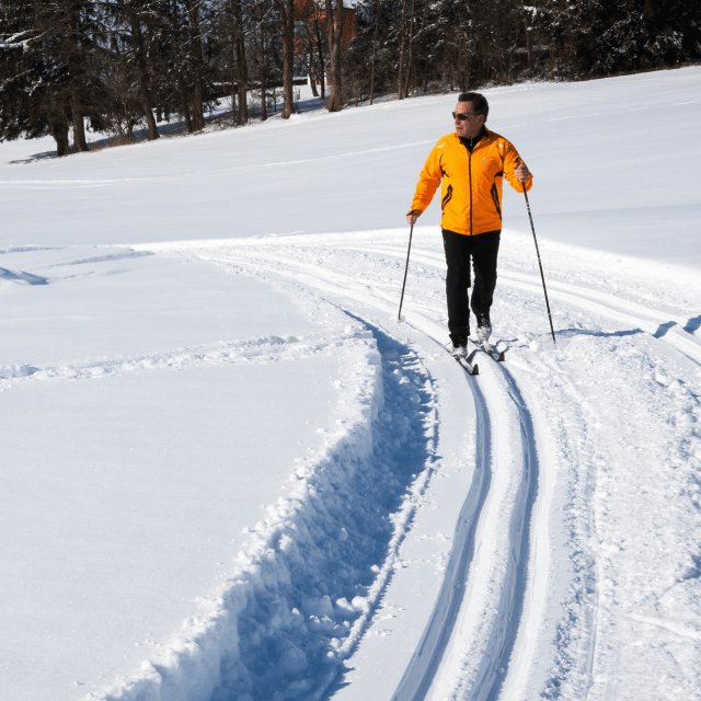 Where to Cross Country Ski in Jackson Hole, Wyoming