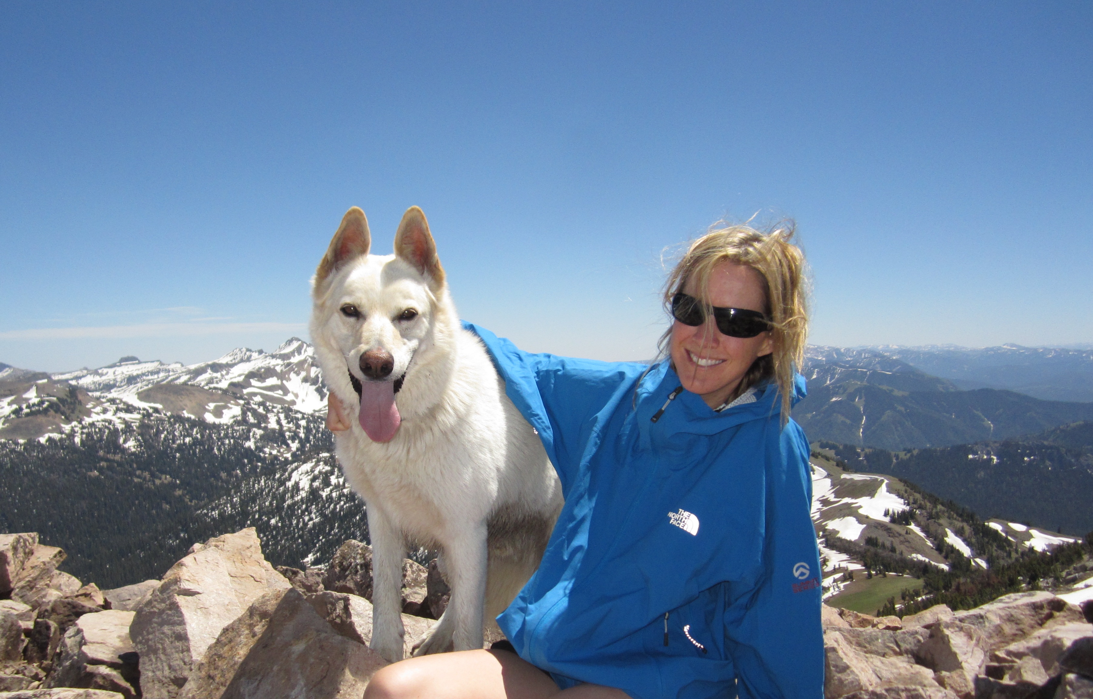 5 Dog Friendly Hikes Around Jackson Hole