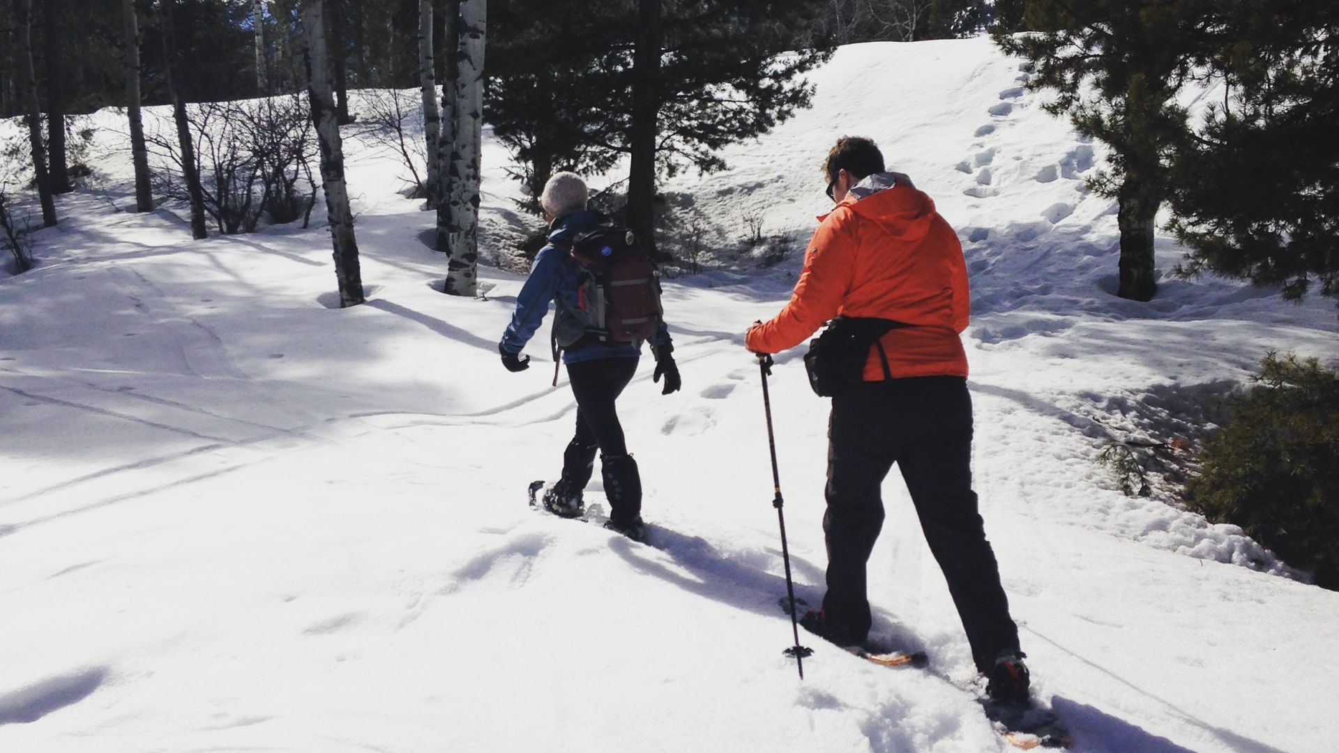 Snowshoeing in Jackson Hole Guided Snowshoe Tours Jackson Hole