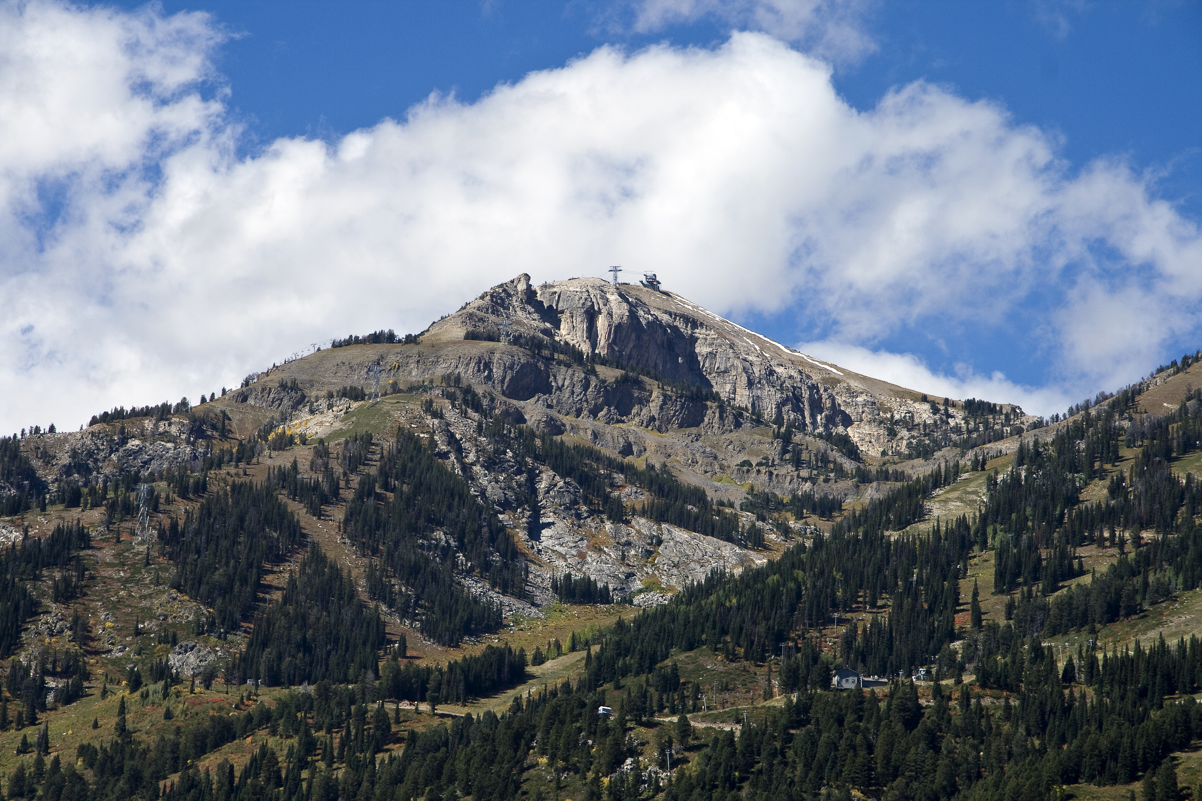 Top Photo Opportunities and Selfie Spots in Jackson Hole, WY Jackson