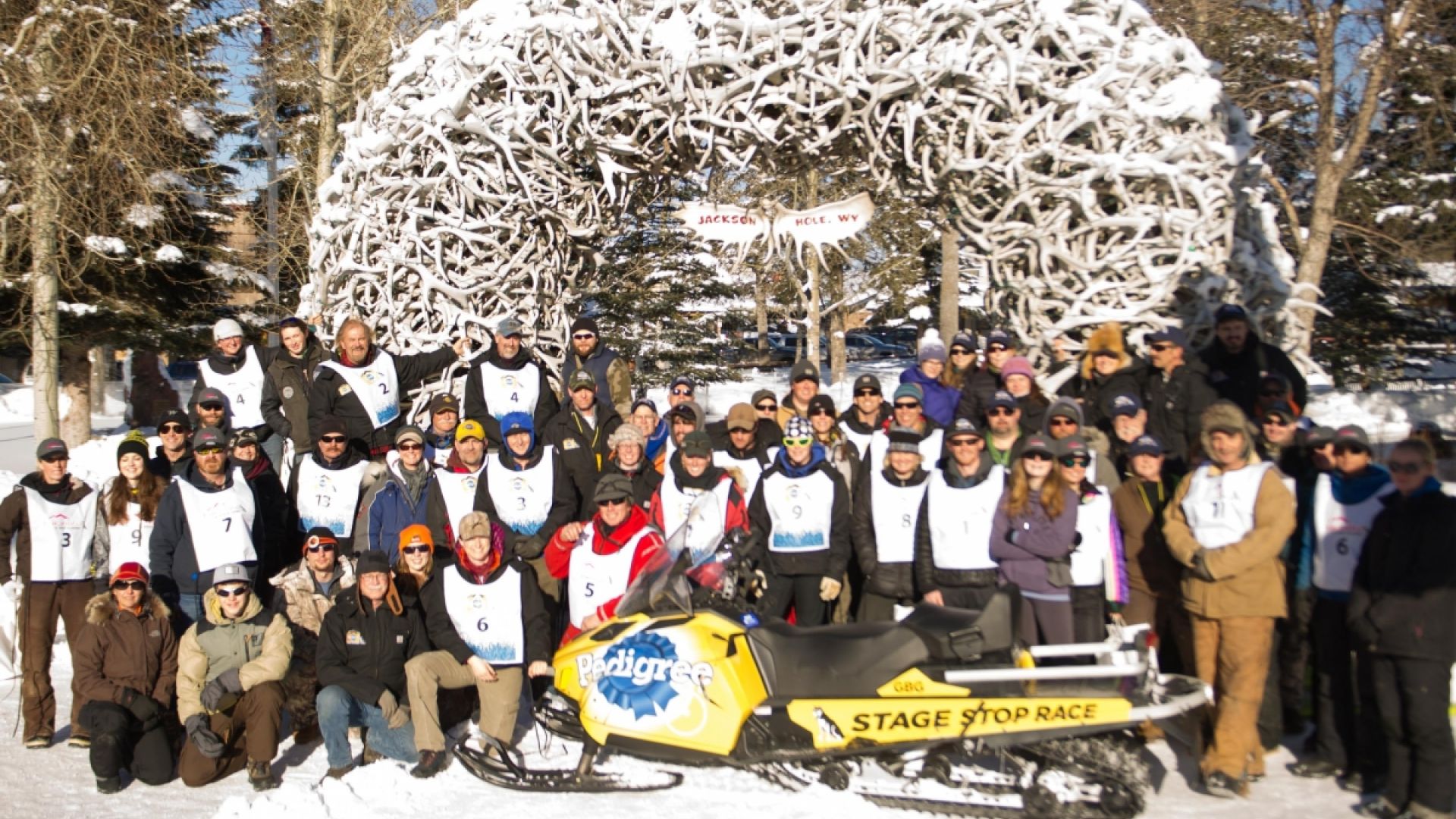 International Pedigree Stage Stop Dog Sled Race Starts in Jackson