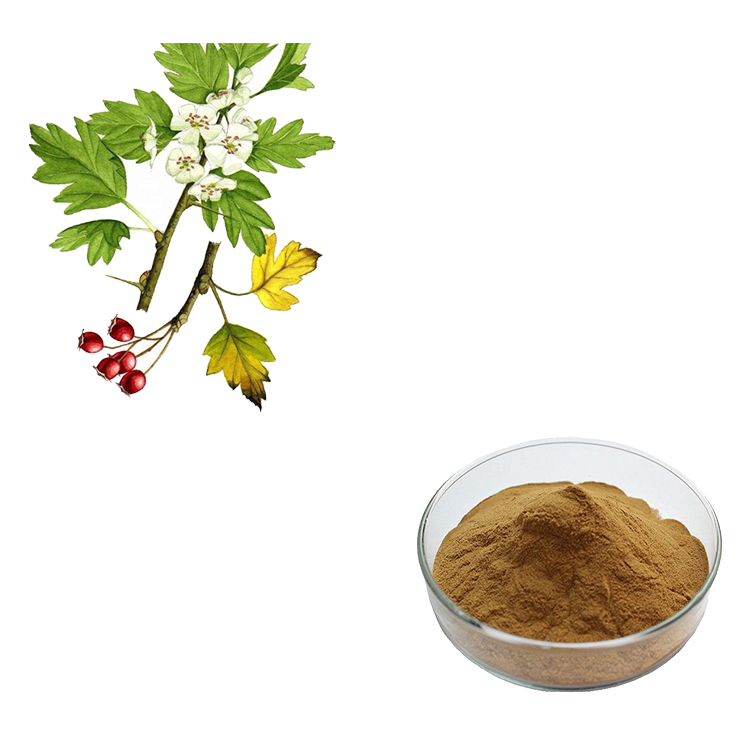 HawthornleafExtract JHD Ingredients