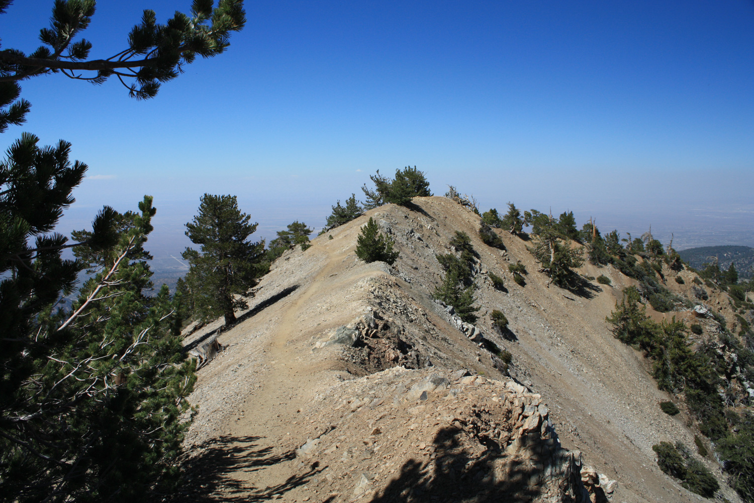 Mount Baden Powell Trail The Outdoorsman