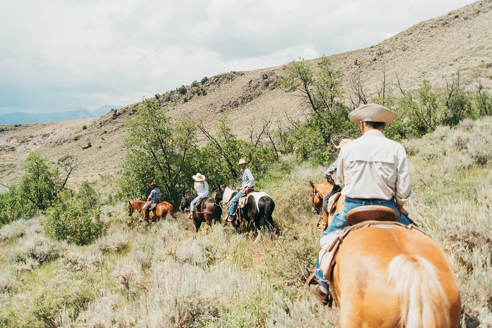 Donate Jackson Hole Land Trust