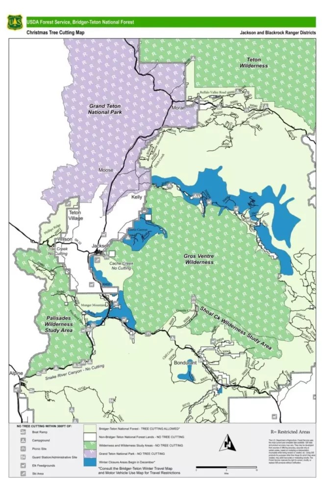 Cutting Down Your Own Christmas Tree Jackson Hole Nordic Alliance