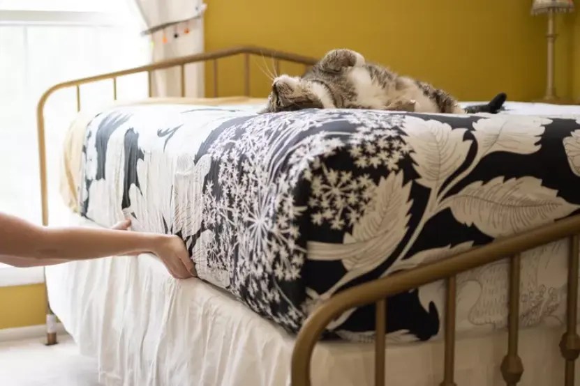 How to Keep Sheets on BedExpert Solutions for a Snug Fit