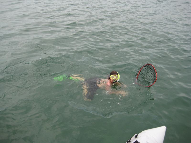 Life at the Key West Mooring Field Jib Notes