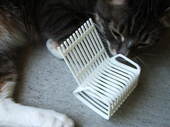 陪主人的寵物椅