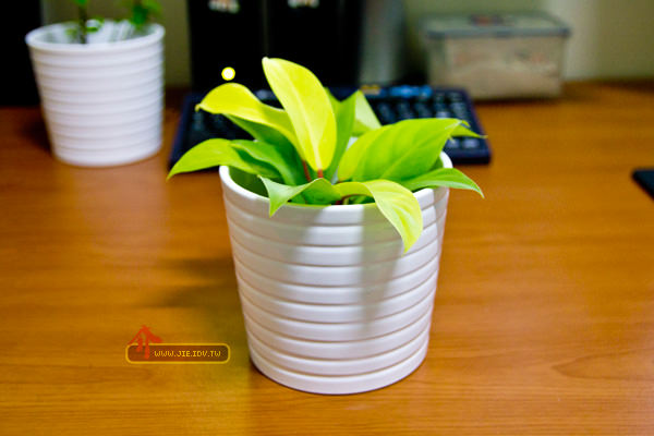IKEA_Flowerpot