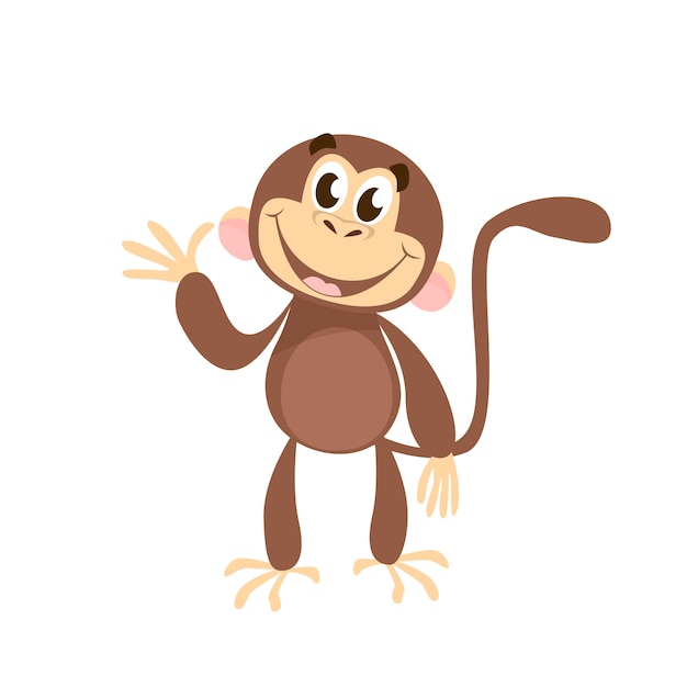 what monkey makes the best pet - Ilustrasi 2