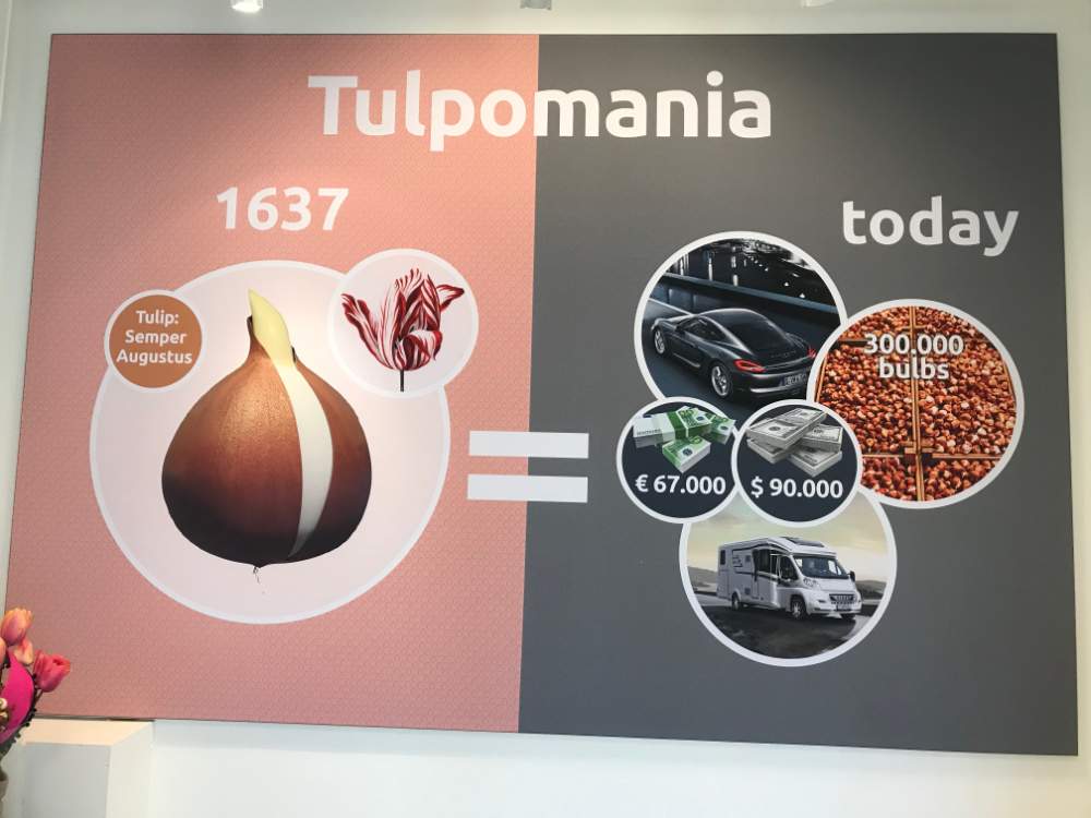 Solve Which flower could cost as much as a house? jigsaw puzzle online