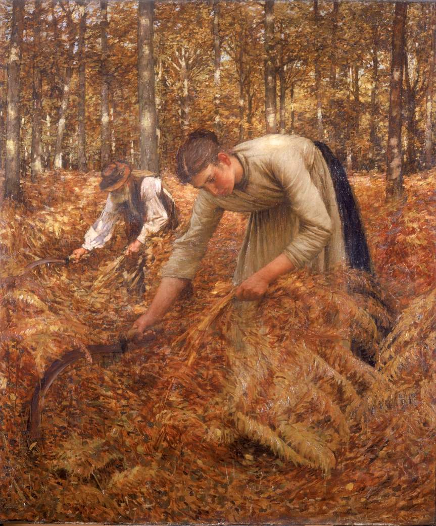 Solve "Bracken Gathering Rotation" jigsaw puzzle online with 20 pieces