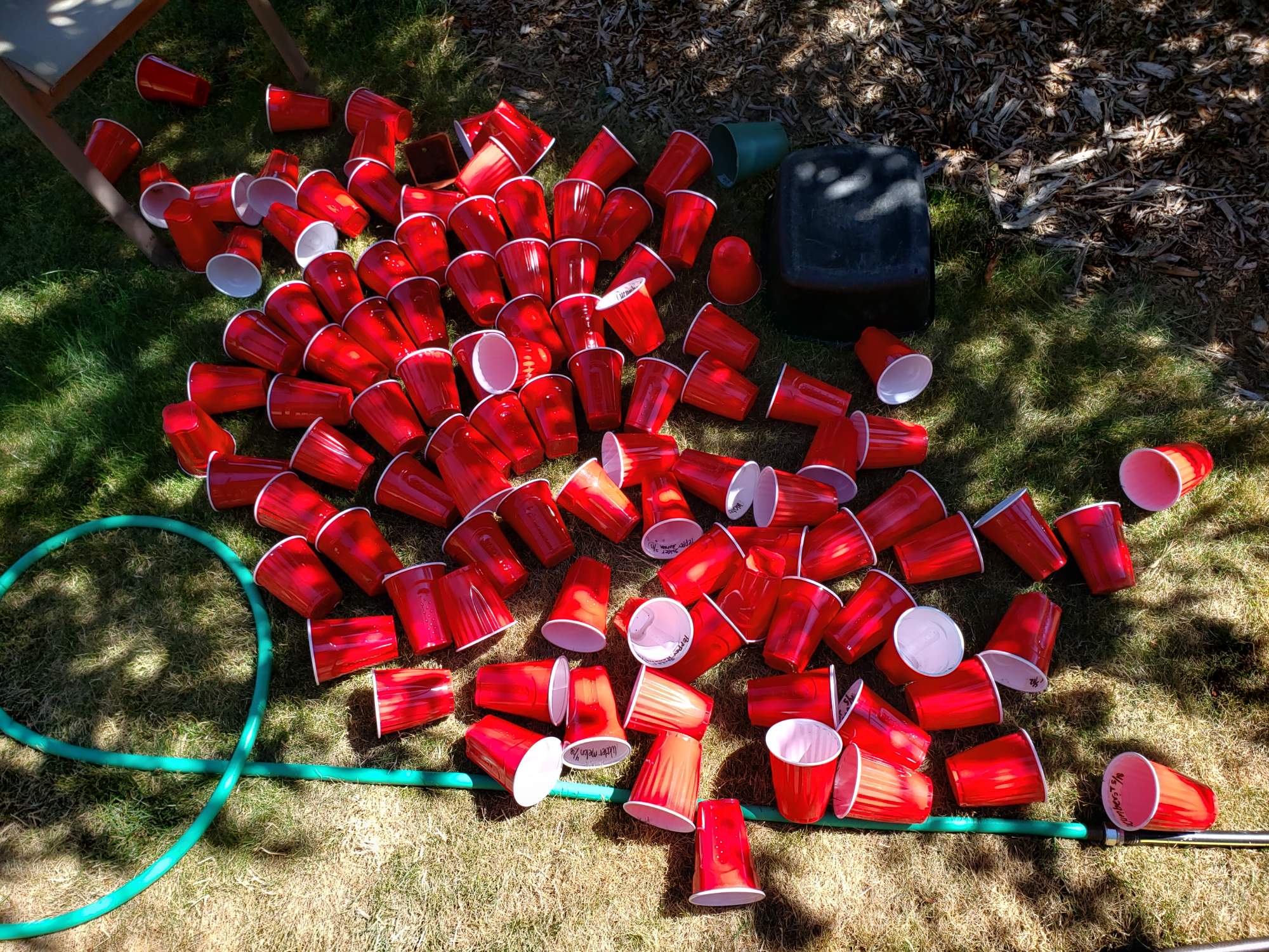 Solve red cups jigsaw puzzle online with 432 pieces