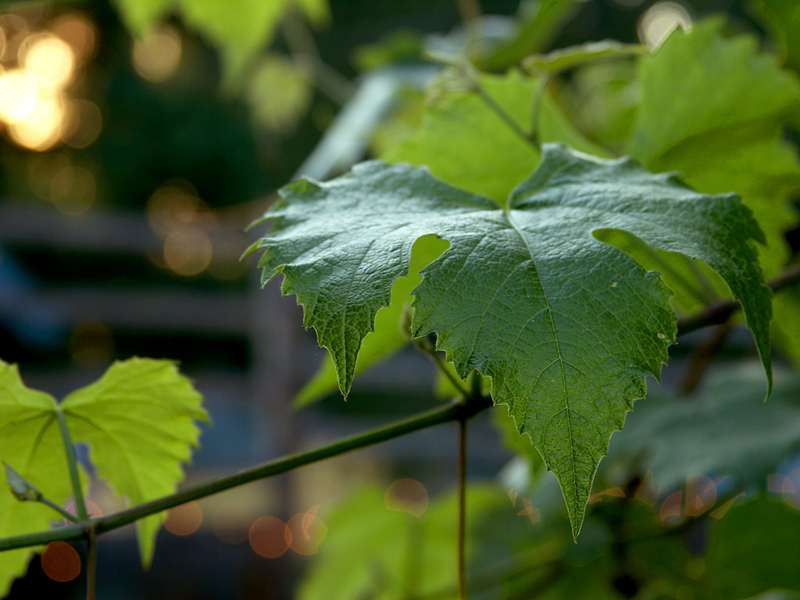 Jigsaw Puzzles Start a New Puzzle