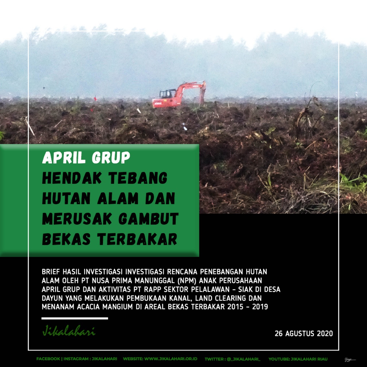APRIL Grup Merusak Gambut Dan Berencana Tebang Hutan Alam Di Tengah  Covid-19 – Jikalahari