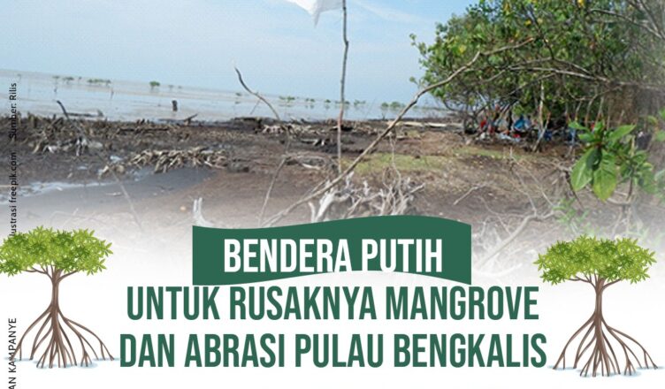 Bendera Putih Untuk Rusaknya Mangrove dan Abrasi Pulau Begkalis – Jikalahari
