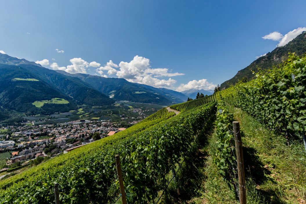 Val Venosta L'OCCASION