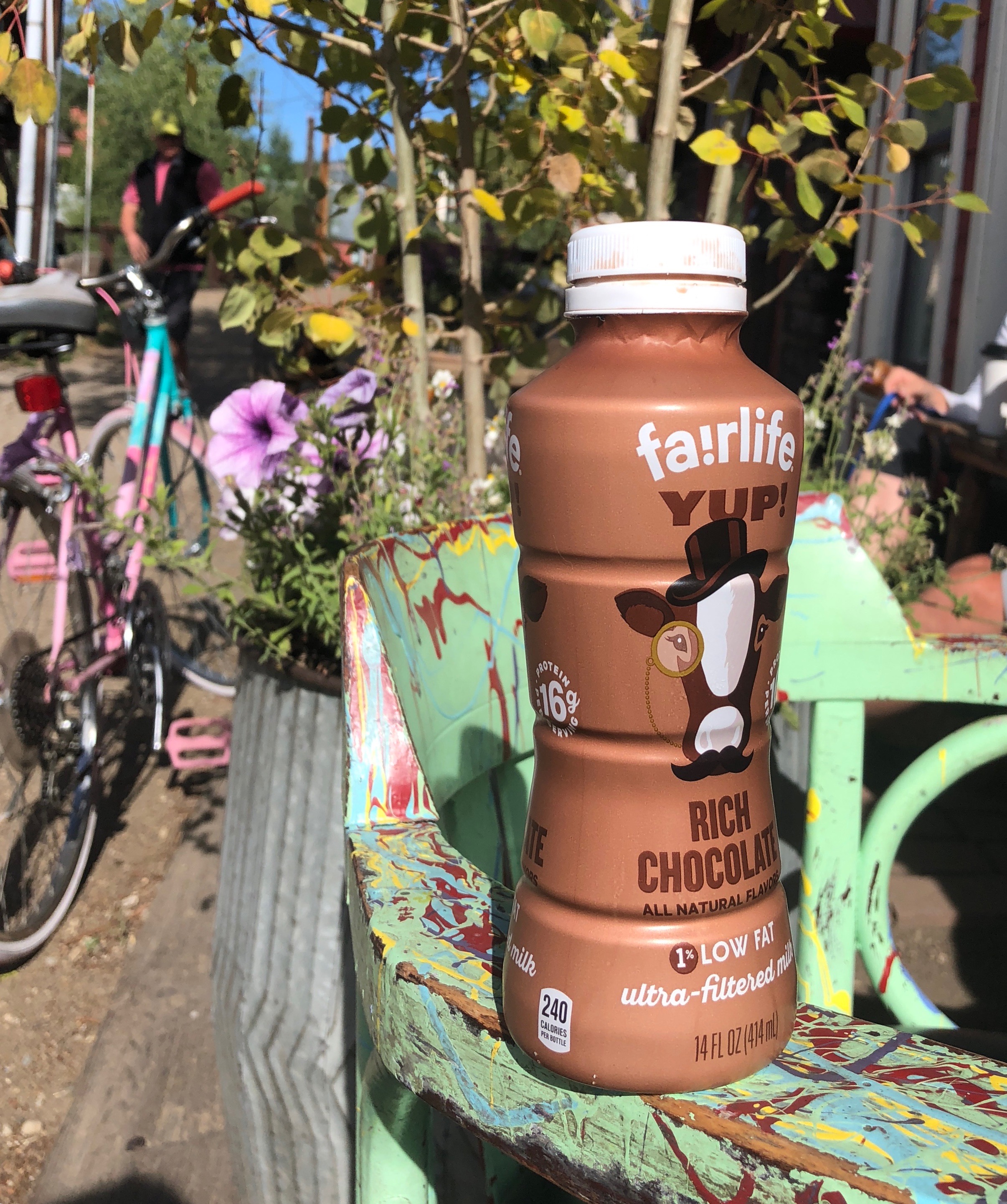 The Chocolate Milk Conspiracy Dr Jill Grimes