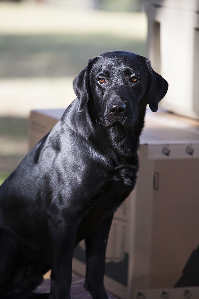 The Closers Thomasville, GA Homes for Sale Kevin’s Game Fair