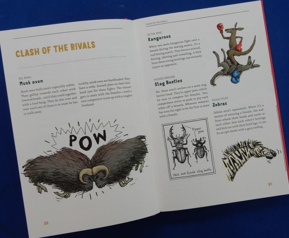 Do Animals Fall in Love? Red Reading Hub Reviews of