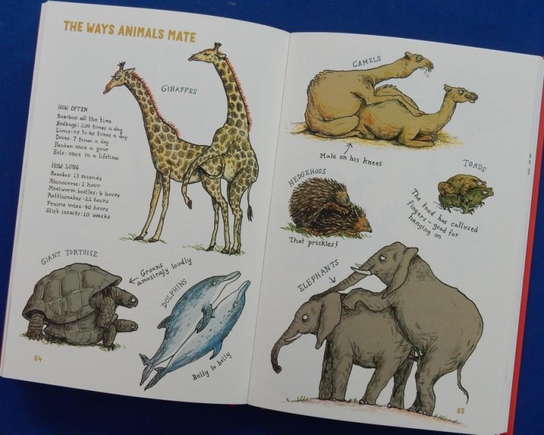 Do Animals Fall in Love? Red Reading Hub Reviews of