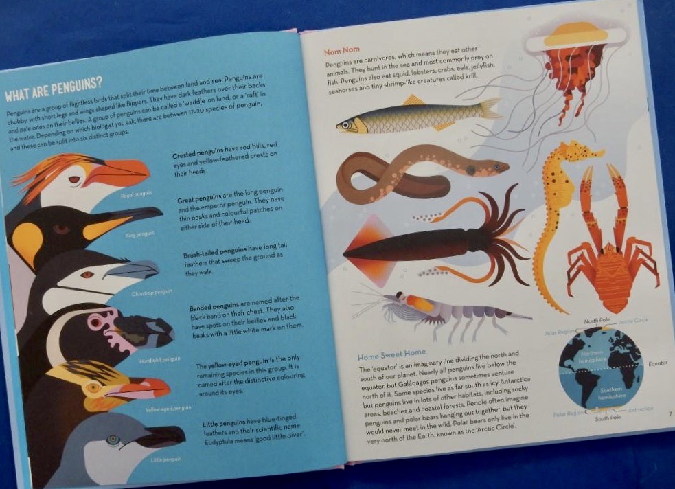 Passionate About Penguins Red Reading Hub Reviews of