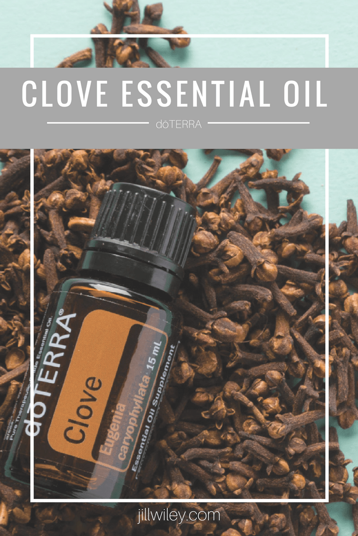 Clove Essential Oil • Jill Wiley