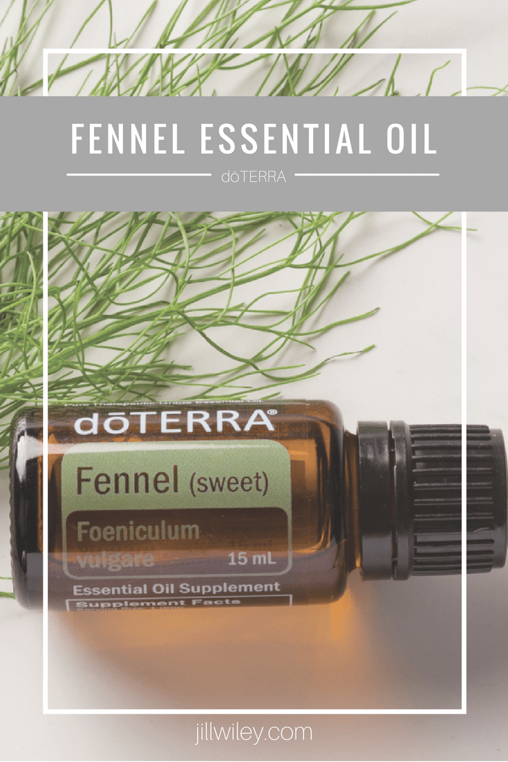 Fennel Essential Oil • Jill Wiley