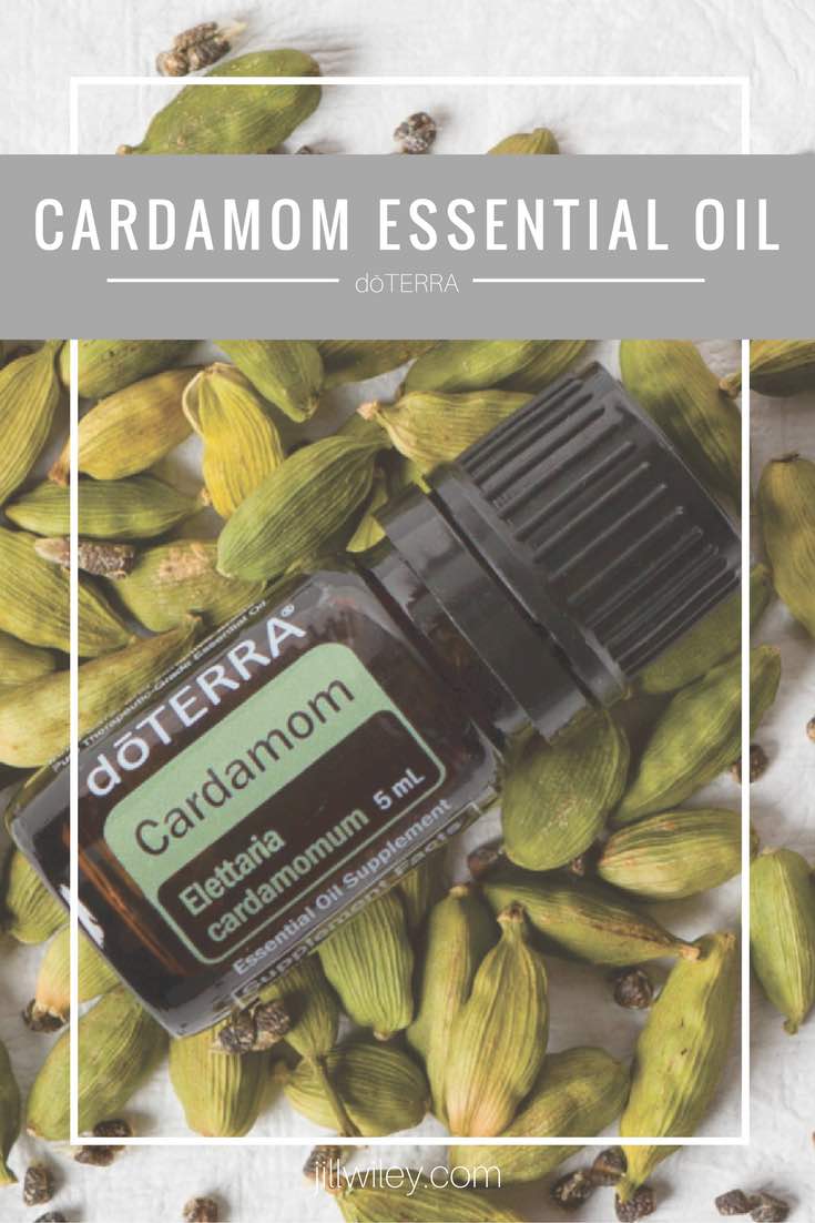Cardamom Essential Oil • Jill Wiley