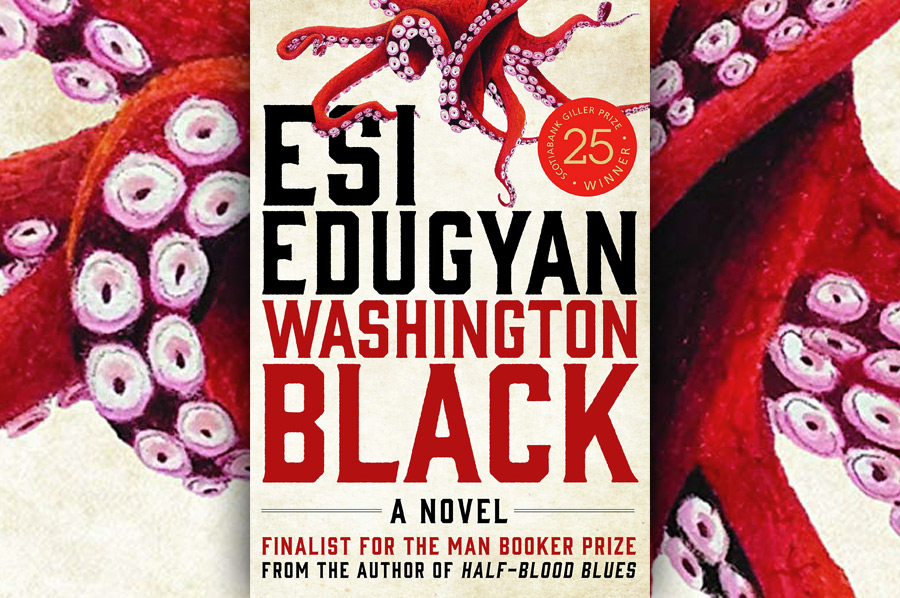 Review Washington Black Jillianne Hamilton Delightful Historicals