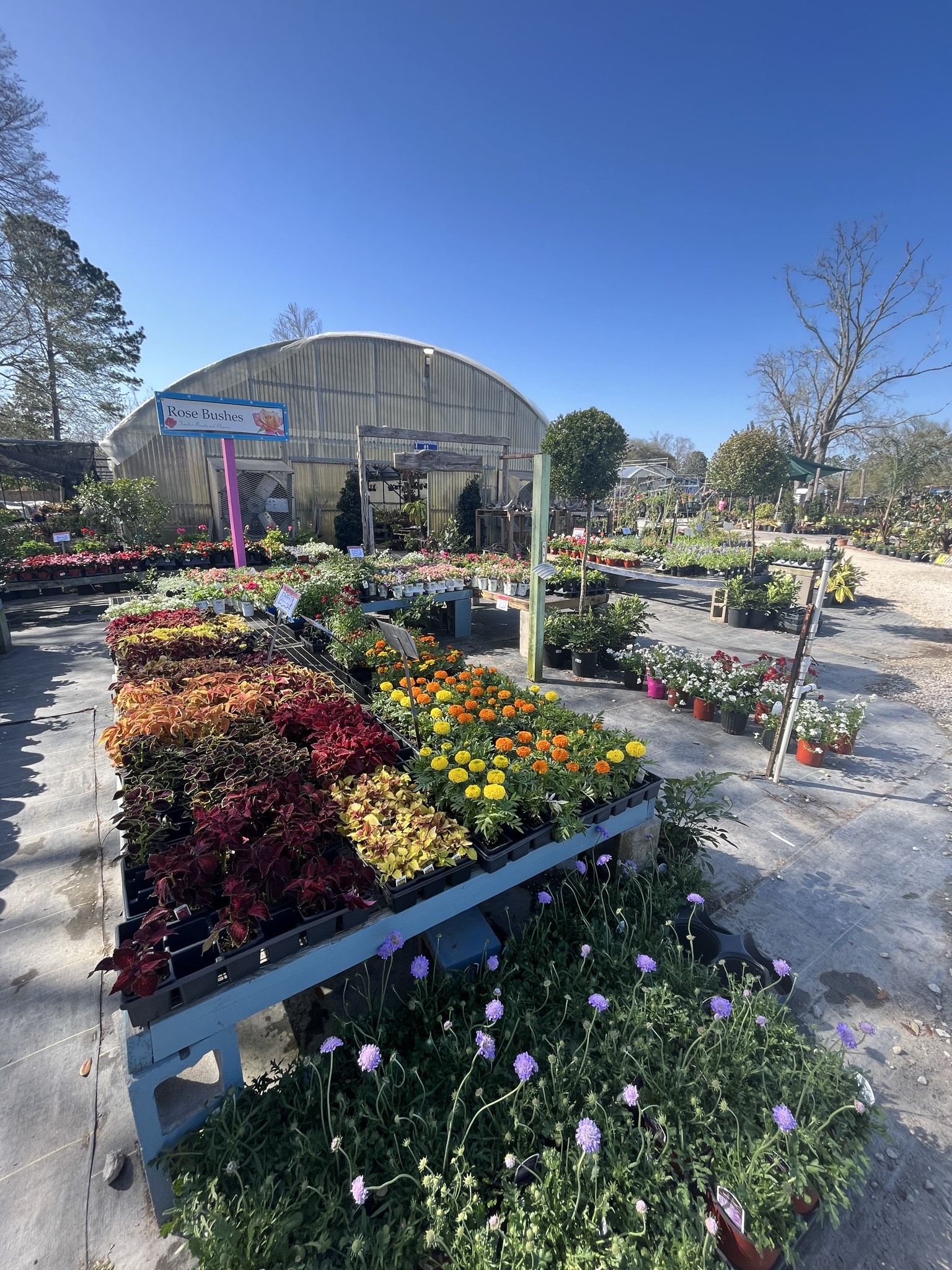 Jimbo's Nursery Retail & Wholesale Garden Center Santa Fe, TX