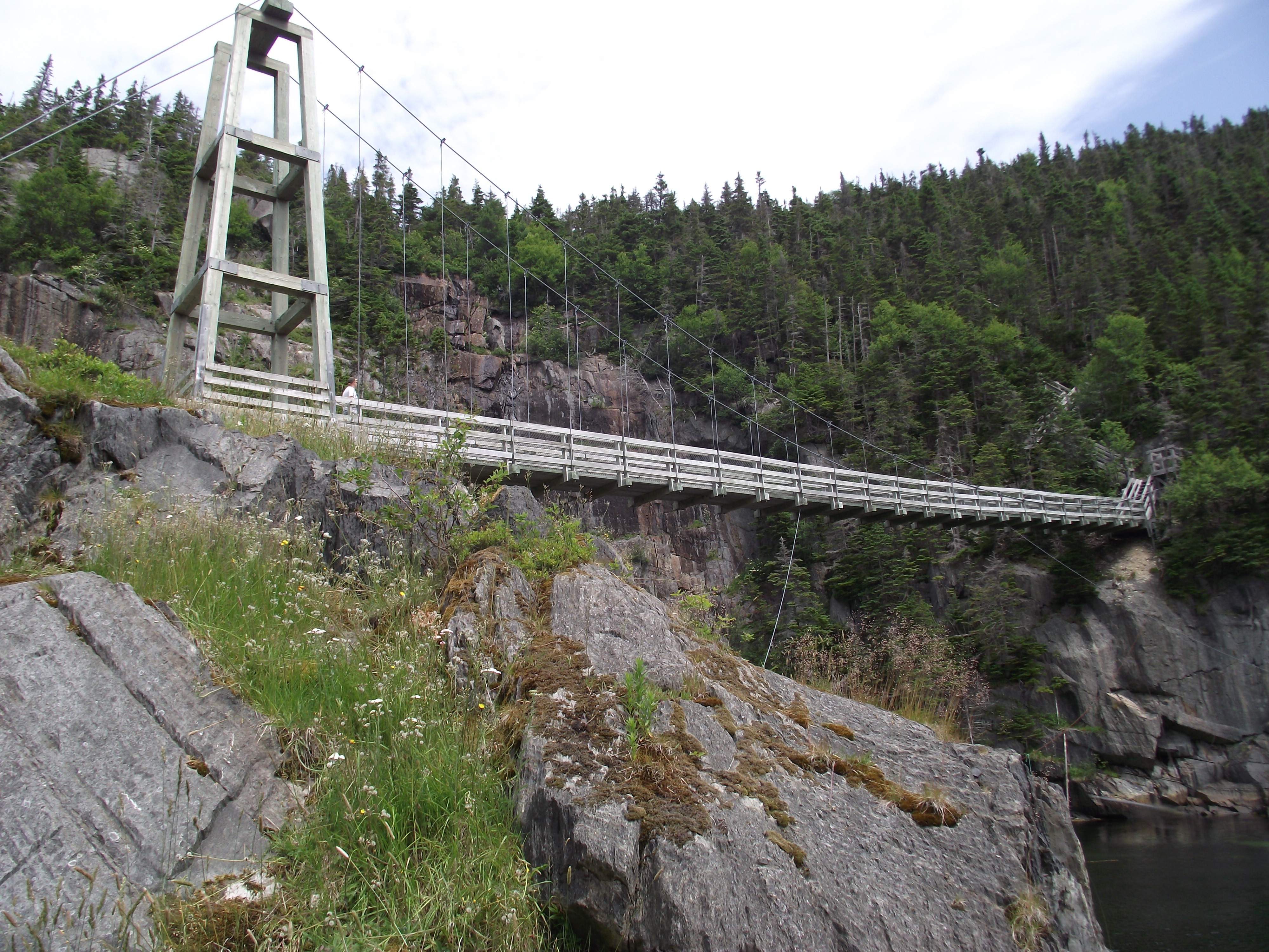 NEWFOUNDLAND AND LABRADOR to Jim