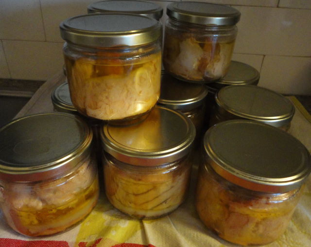 Canning Tuna with Slow Foods Seattle Jim Drohman