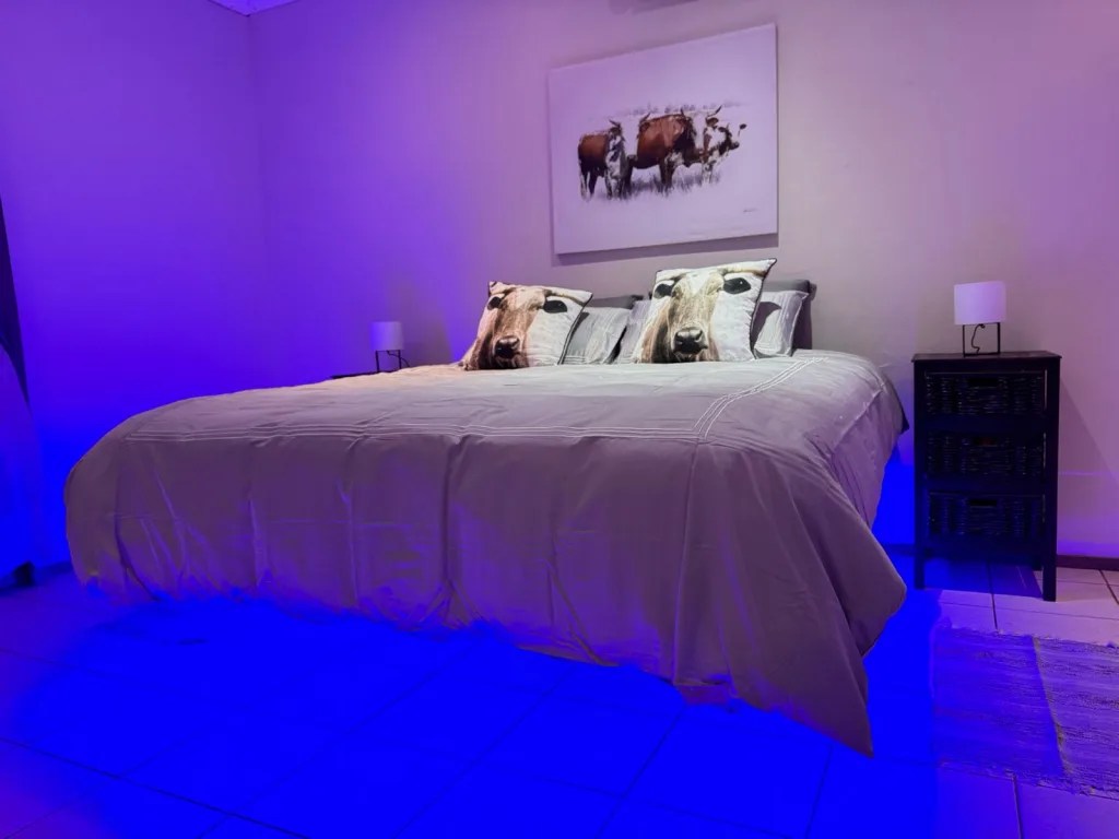 Floating beds For Sale Palisades Weaving Services in Gauteng