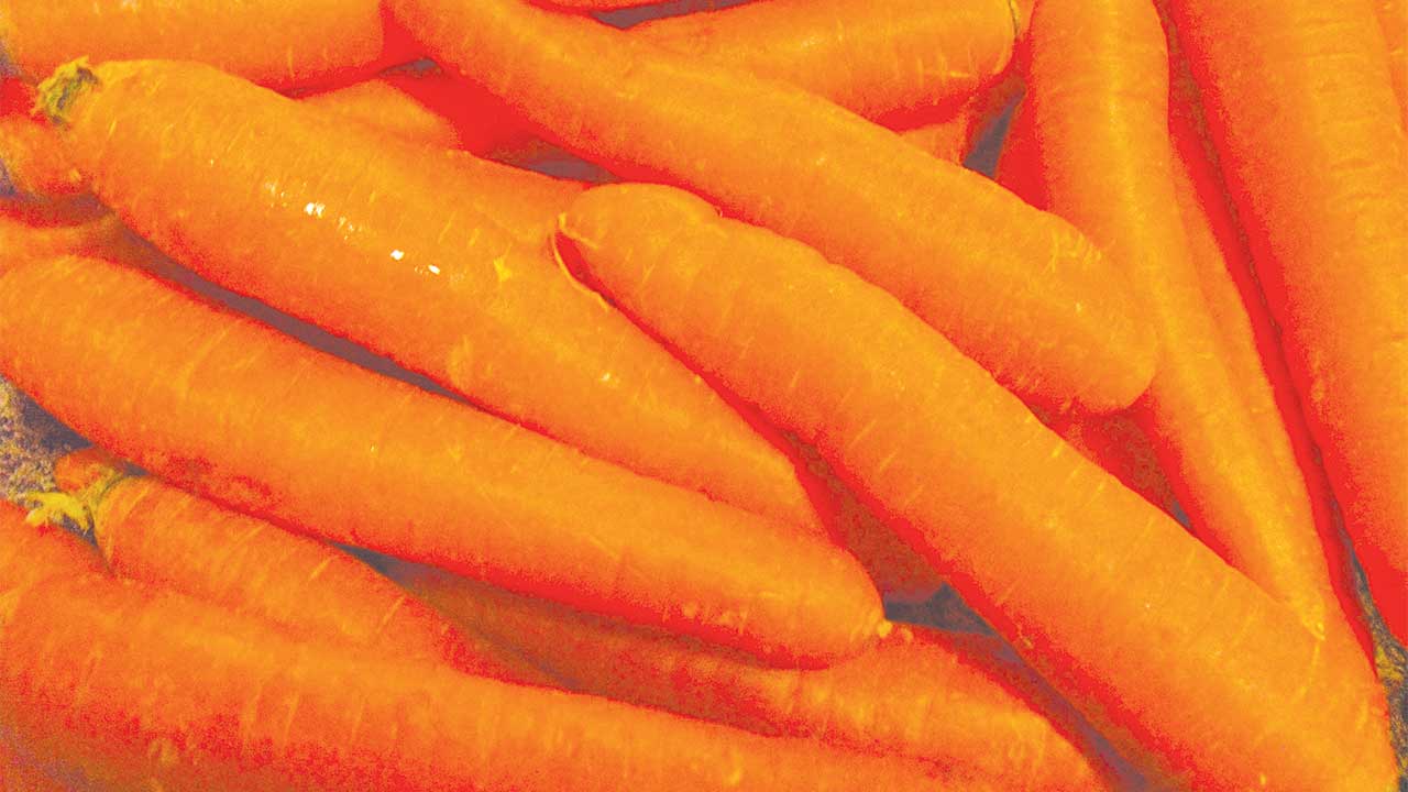 Carrots Are Good For Your Health News & Analysis