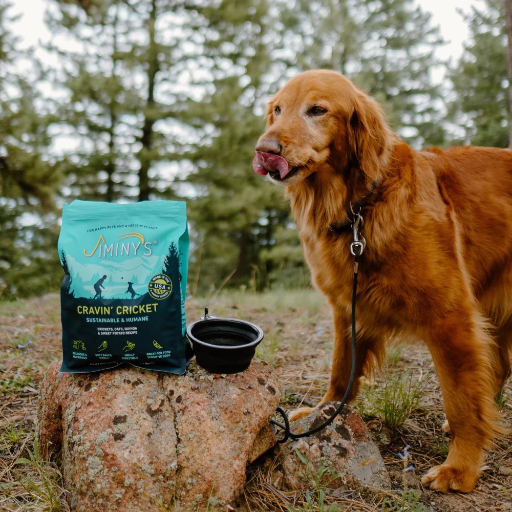 How to Choose Dog Food to Support Joint Health Jiminy's